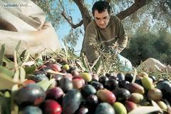 Έρχεται «ψαλίδι» στις αγροτικές επιδοτήσεις