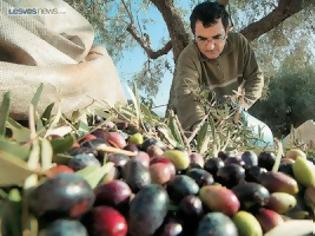 Φωτογραφία για Έρχεται «ψαλίδι» στις αγροτικές επιδοτήσεις