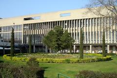 Διεθνής διάκριση για τον καθηγητή της Κτηνιατρικής Σχολής του ΑΠΘ, Δημήτρη Ραπτόπουλο