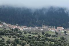 Ηλεία: Άμεση έπεμβαση των δικαστικών αρχών για την αναδάσωση δάσους που δεν κάηκε ποτέ