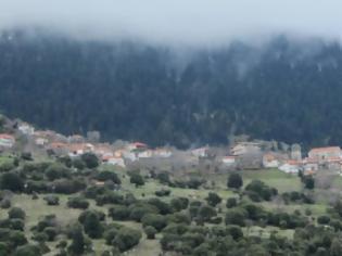 Φωτογραφία για Ηλεία: Άμεση έπεμβαση των δικαστικών αρχών για την αναδάσωση δάσους που δεν κάηκε ποτέ