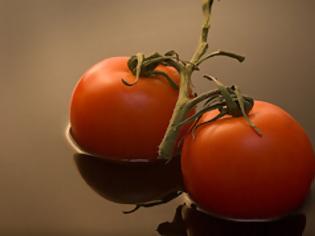 Φωτογραφία για Η διαφορά στην παραγωγή ντομάτας σε Ελλάδα και Ολλανδία, στο περιοδικό TIME