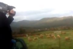 Oι δυσκολίες ενός ρεπόρτερ... [Video]