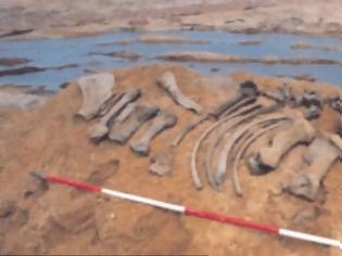 Φωτογραφία για Σπουδαία ανακάλυψη στη Βρετανία με προϊστορικό ρινόκερο 42.000 χρόνων!