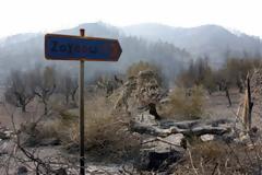 Επιστροφή στο... 2007 και στην καμένη Ηλεία - «Ξαφνική φυγή» πυροσβεστών που ερευνούν κυκλώματα εμπρησμών