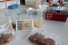 Γερμανία: Το διατροφικό σκάνδαλο ενίσχυσε τους Πράσινους