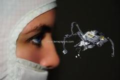 NanoBots, Αυτός Είναι ο Σκοπός των Αεροψεκασμών