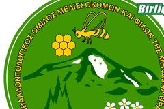 Κι ύστερα…ήρθαν οι μέλισσες!