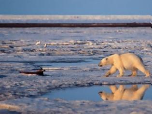 Φωτογραφία για «Μη αναστρέψιμη» απώλεια προβλέπεται για τους πάγους του Καναδά