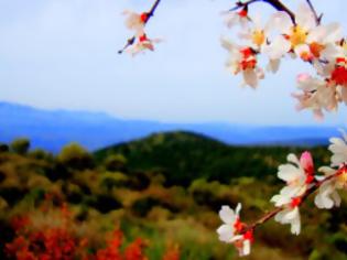 Φωτογραφία για Με ανοιξιάτικη διάθεση ο καιρός τη Δευτέρα