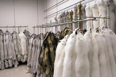 Σημαντική αύξηση 173% σημείωσαν στην 4ετία οι εξαγωγές γουνοδερμάτων στην Τουρκία
