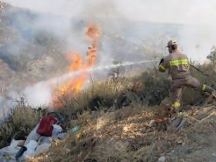 Φωτογραφία για Άγρια μάχη με τη φωτιά δίνουν οι πυροσβέστες στο Μάραθος