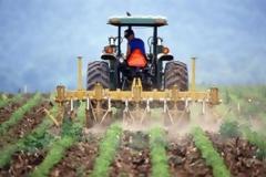 Tα κρεμμύδια και οι πατάτες κόστισαν 184.075.770 ευρώ