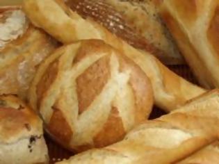 Φωτογραφία για Η κατάντια της ελληνικής κρίσης! Δύο στους δέκα έκοψαν ακόμα και το ψωμί!