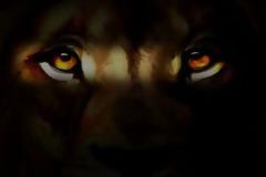 Πρώτο Ετήσιο Lions Den στο Πανεπιστήμιο Newcastle