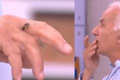 Μέλισσες στο Πρωινό mou! Τσίμπησε τον μελισσοκόμο και την έφαγε ζωντανή!