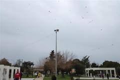 Πάτρα: Οι εκδηλώσεις στην Πλαζ για την Καθαρά Δευτέρα - Δείτε video