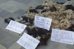 Oργή λαού στην Κύπρο: Εριξαν μαλλιά προβάτων έξω από τη Βουλή – Προπηλάκισαν τον Γιώργο Λιλλήκα