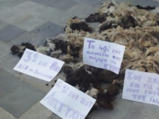 Φωτογραφία για Oργή λαού στην Κύπρο: Εριξαν μαλλιά προβάτων έξω από τη Βουλή – Προπηλάκισαν τον Γιώργο Λιλλήκα