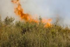 Αποκλειστικά πλάνα: Πυρκαγιά στους Αρμένους τέθηκε υπό έλεγχο