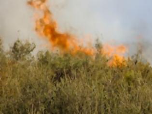 Φωτογραφία για Αποκλειστικά πλάνα: Πυρκαγιά στους Αρμένους τέθηκε υπό έλεγχο