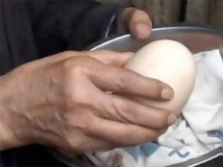 Φωτογραφία για Απίστευτο: Τεράστιο αυγό κότας περιέχει… δυο εκπλήξεις