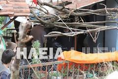 Νεκρός 33χρονος πατέρας δύο παιδιών με αφορμή τα γουρούνια της οικογένειας