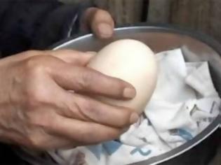 Φωτογραφία για VIDEO: Δεν θα πιστεύετε τι είχε μέσα αυτό το αυγό!