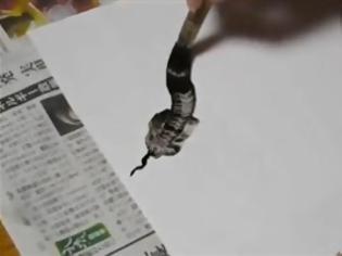 Φωτογραφία για VIDEO: Ζωγράφισε φίδι με μία και μόνο πινελιά