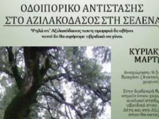 Φωτογραφία για Οδοιπορικό αντίστασης για να μην ξεριζωθεί το δάσος