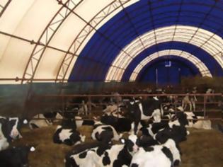 Φωτογραφία για Ρουμανία: «Ασφαλές το γάλα» διαβεβαιώνουν οι αρχές
