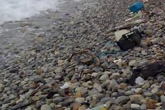 Τρεις τόνοι σκουπίδια κοντά στο λιμάνι Bόλου
