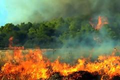 Πύργoς: Μεγάλη πυρκαγιά σε δασική έκταση