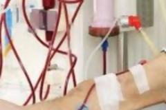 Μια γιατρός για 24 νεφροπαθείς