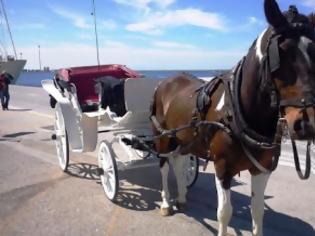Φωτογραφία για Πάτρα: O Γιάννος και η άμαξα στο λιμάνι
