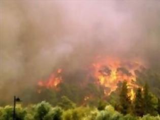 Φωτογραφία για Μπαράζ πυρκαγιών σε Αποκόρωνα και Κίσαμο Χανίων