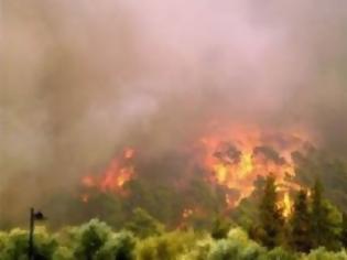 Φωτογραφία για Μπαράζ πυρκαγιών σε Αποκόρωνα και Κίσαμο Χανίων