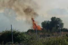 Πρέβεζα - ΤΩΡΑ: Φωτιά σε εξέλιξη αυτή την ώρα στην Σμυρτούλα