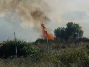 Φωτογραφία για Πρέβεζα - ΤΩΡΑ: Φωτιά σε εξέλιξη αυτή την ώρα στην Σμυρτούλα