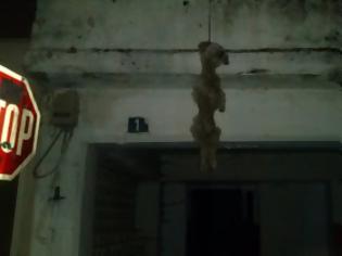 Φωτογραφία για Φρικιαστική εικόνα στα Λεχαινά - Kρέμασε ζωντανό σκυλάκι από το μπαλκόνι του!