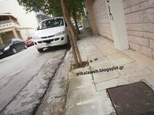 Φωτογραφία για Πρόβλημα στα Τρίκαλα με τα κόπρανα σκύλων πάνω στα πεζοδρόμια