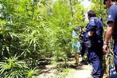 Στο Εφετείο ο κτηνοτρόφος για τους πυροβολισμούς στη χασισοφυτεία στις Μαλάδες