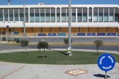 Η Κρητική ελιά πρώτη εικόνα για τους επισκέπτες