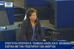 Παρέμβαση Τζαβέλα - Θεοχάρους για στήριξη των ανέργων μέσω του Ευρωπαϊκού Ταμείου Προσαρμογής στην Παγκοσμιοποίηση (ΕΤΠ)