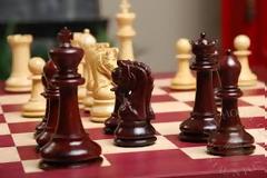 Ένωση σκακιστικών σωματείων κεντρικής Ελλάδας - Ατομικό-ομαδικό σχολικό πρωτάθλημα 2013