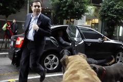 Γλίτωσε τελευταία στιγμή την ευθανασία ο σκύλος Pούμπι που την «είχε πέσει» στην Τρόικα