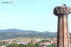 Συνελήφθη ξανά το γνωστό κλεφτρόνι του Πολιχνίτου...