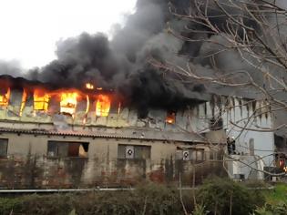 Φωτογραφία για Από αφρολέξ ξεκίνησε η πυρκαγιά στο εργοστάσιο επίπλων στην Ευκαρπία