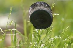 Aerogel γραφενίου: Το νέο ελαφρύτερο υλικό στον πλανήτη με εντυπωσιακές πιθανές εφαρμογές