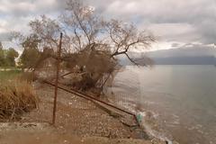 Oικολογική Δυτική Ελλάδα για Ακτές Αιγιάλειας: δεν φταίει ο κακός (μας) ο καιρός